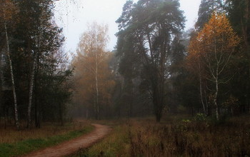 Herbst / ***
