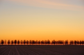 Winzig / ***