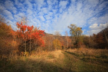 Herbst in den Bergen / ***