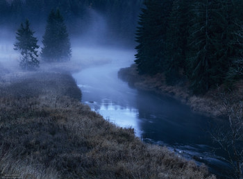 In der Umarmung des Nebels / ***