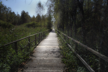 Der lange Weg / ***