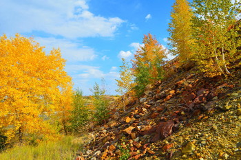 Herbst / ***