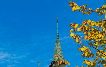 Herbst-Skizzen / ***