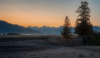 September ... Steppe of Samah ... Dawn ... Everything is covered with hoarfrost .... Frost -10 .. / ***