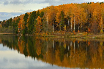 Herbstmotiv / ***