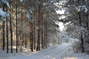 Zu Beginn des Winters / ...