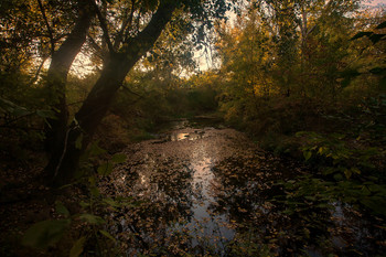 Herbst / ***