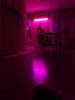 111 / ***