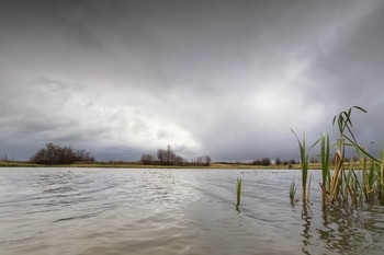 Auf dem See / ***
