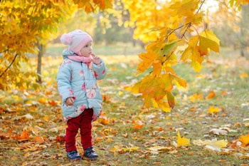 Herbst / ***