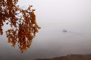 im Nebel / ***