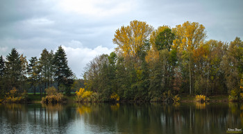 Autumn at the lake / Herbst am See / The Hasselkampsee (also Hasselkampteich) is a groundwater lake northwest of the village Sonnenberg in the municipality of Vechelde, Peine district in Lower Saxony. It is located about four kilometers west of the city of Brunswick, on the edge of the Bruchwald lowlands of the river Aue.
The waters were created by sand and gravel mining in the second half of the 20th century. After completion of the building material extraction, the area was landscaped by recultivation in the 1980s.
Aerial view of the Hasselkampsee, 2019
Today reeds have formed on shallow shores, which are important habitat for amphibians. In the winter months the Hasselkampsee is an important resting place for migratory birds like the Zwergsäger.
The lake is owned by the Angelsportverein Braunschweig and is used as angling ground.
________________________________________________