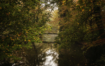 Brücke / ***
