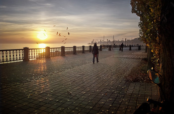 Quay. / ***