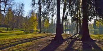 An einem sonnigen Morgen / ***
