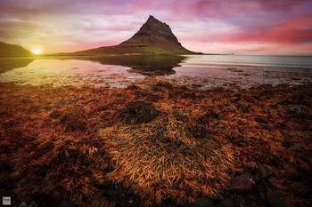 Kirkjufell #5 / ***