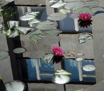  / Mirror