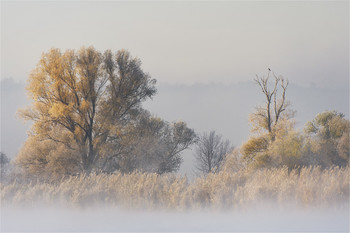 Herbstbilanz / ***