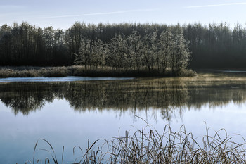 Herbst / ***