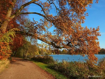 Harburger Stadtpark & Außenmühlenteich Hamburg / ***