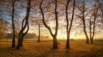 Herbst / ***