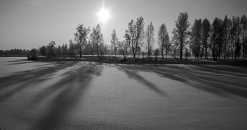 Schatten / ***