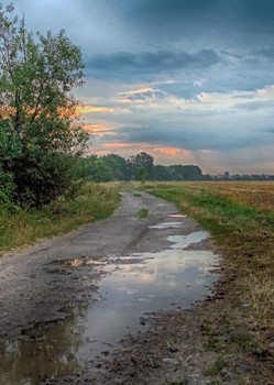 Nach dem Regen / ***