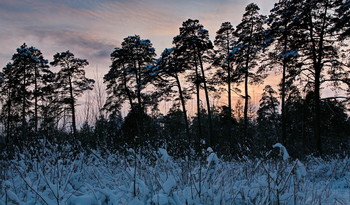Abend / ***