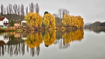 Herbst / ***