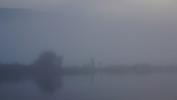 Abendnebel / ***