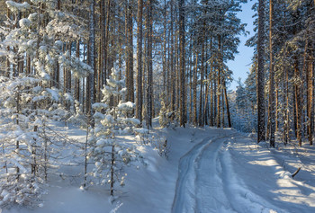 Winter / ***