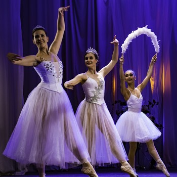 Ballet / ***