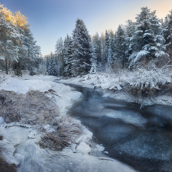 Die ersten Frost / ***