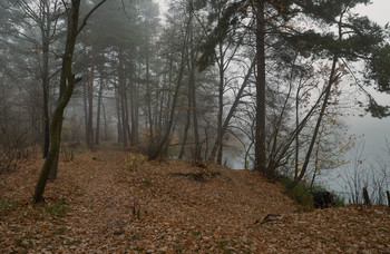 Herbst / ***