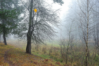 Herbst / ***