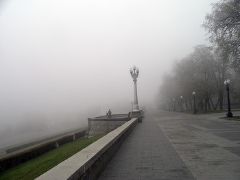  / in the fog