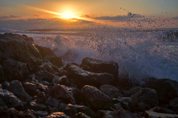 surfen / ***
