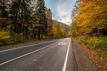 Straße zum Herbst / ***