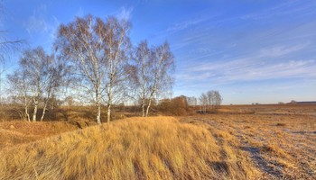 Sonnigen Herbsttag / ***