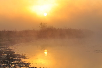 Nebel, Nebel ... / ***