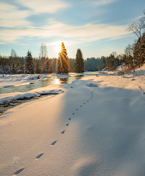 Winter river / ***