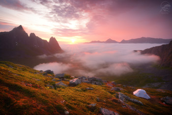 Senja / ***