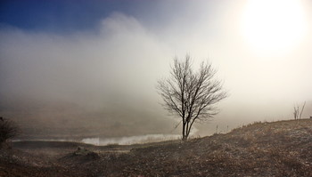Morgennebel ... / ***