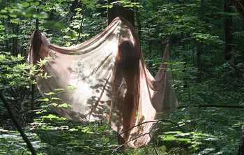 Schatten / ***