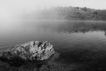 Morgennebel. / ***
