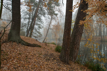 Herbststimmung. / ***