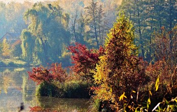 Herbst / ***