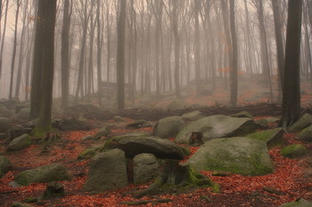 Natur / Odenwald / Hessen