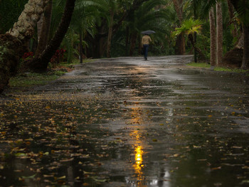 Rainman / ***