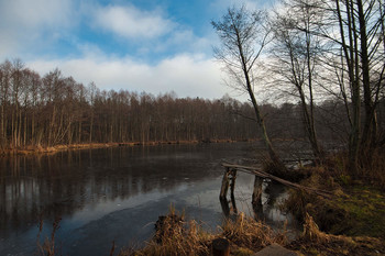 Forest Lake / ***